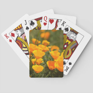 California poppies, Montana de Oro State Park Poker Cards