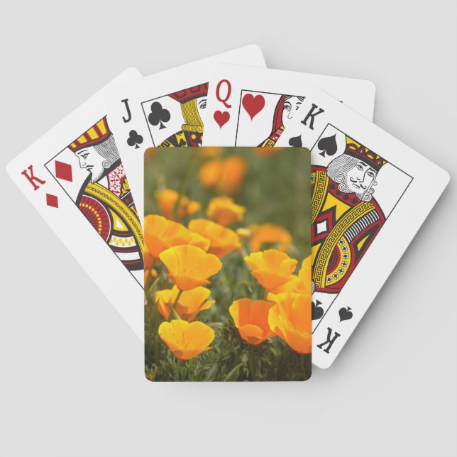 California poppies, Montana de Oro State Park Poker Cards (Back)