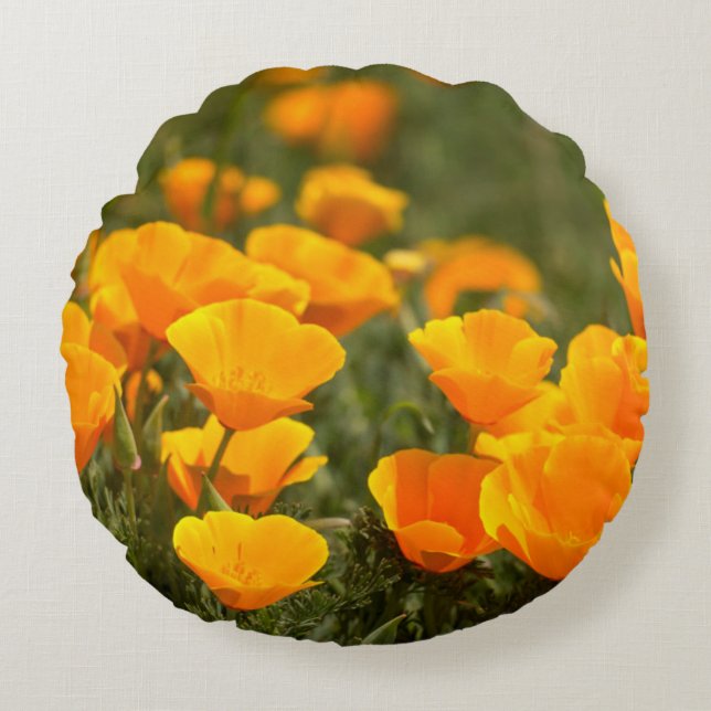 California poppies, Montana de Oro State Park Round Pillow (Front)