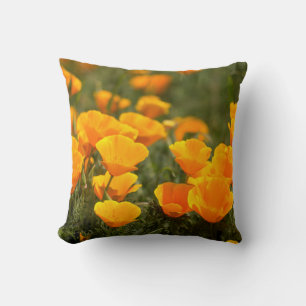 California poppies, Montana de Oro State Park Throw Pillow