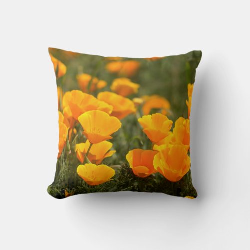 California poppies Montana de Oro State Park Throw Pillow