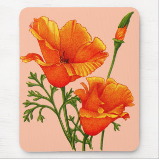 California poppies mouse pad