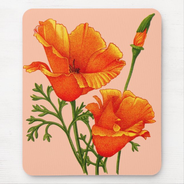 California poppies mouse pad (Front)