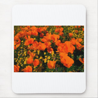 California Poppies Mouse Pad
