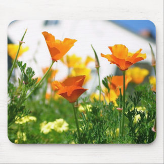 California Poppies Mouse Pad