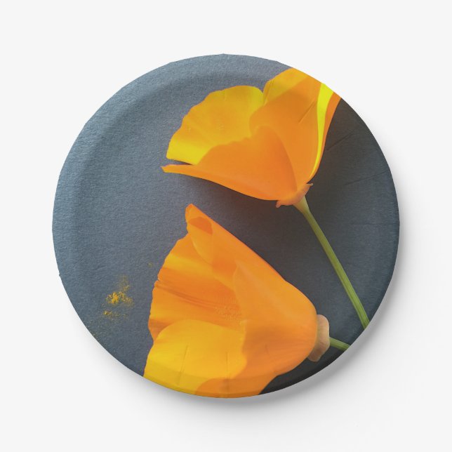 California poppies on blue paper plates (Front)