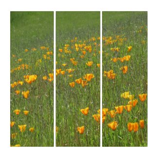 California Poppies on Hillside Triptych