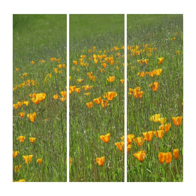California Poppies on Hillside Triptych (Front)