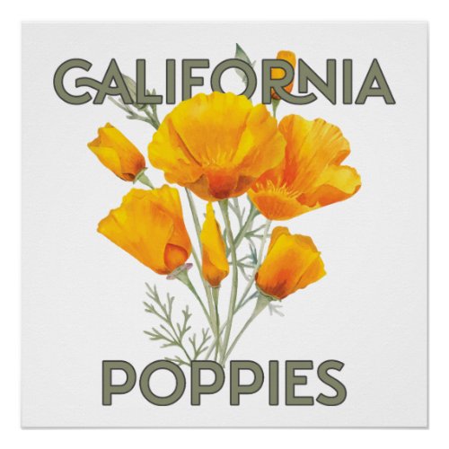 California Poppies Poster