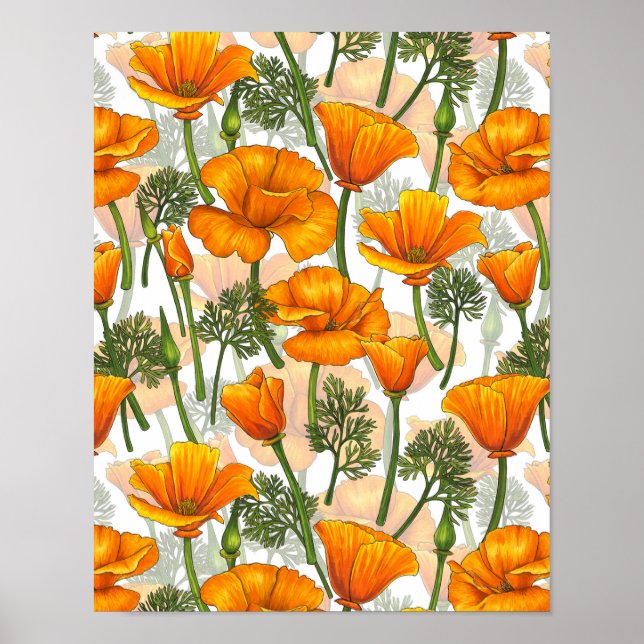 California poppies poster (Front)