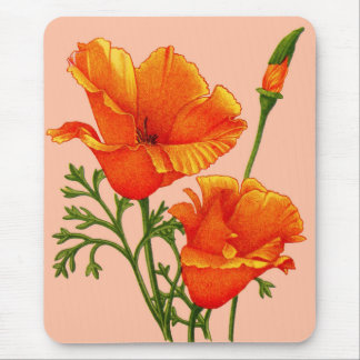 California poppies print mouse pad