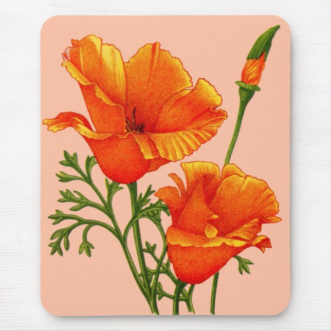 California poppies print mouse pad (Front)