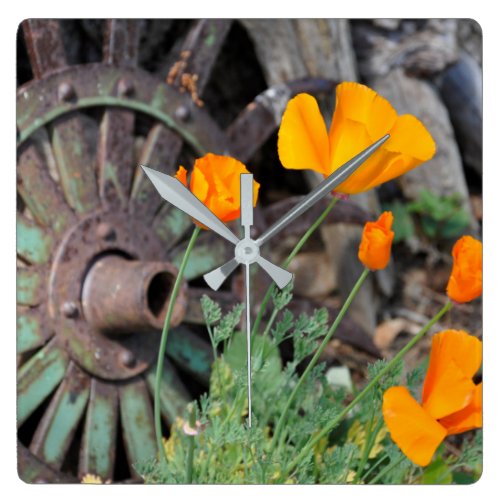 California Poppies Rustic Square Wall Clock