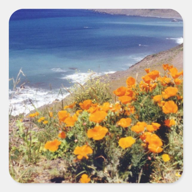 California Poppies Square Sticker (Front)