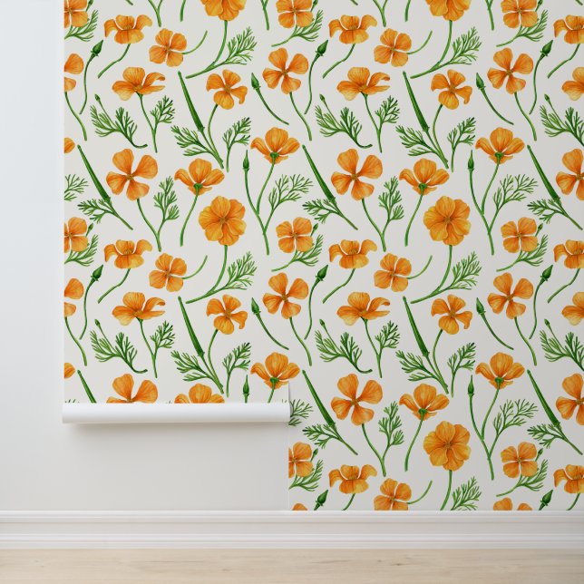 California poppies, summertime flowers on white wallpaper  (Application)