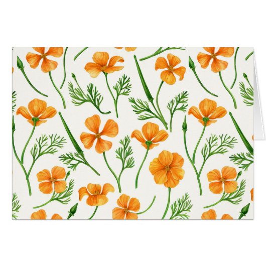 California poppies, summertime flowers, orange wil (Front Horizontal)