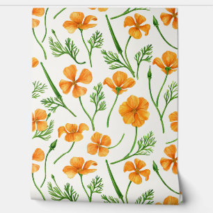 California poppies, summertime flowers, orange wil wallpaper