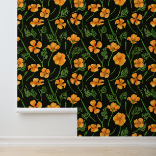 California poppies, summertime flowers, orange wil wallpaper 