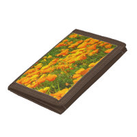California Poppies Trifold Wallets