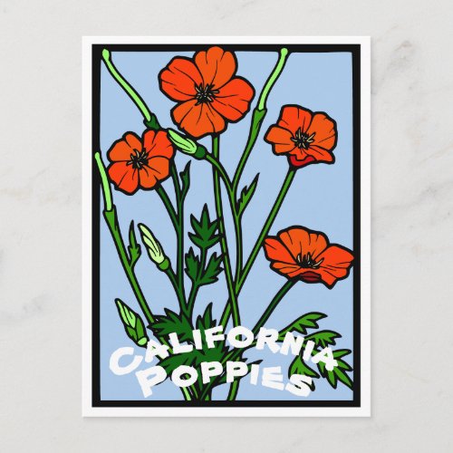 California Poppies Vintage Postcard