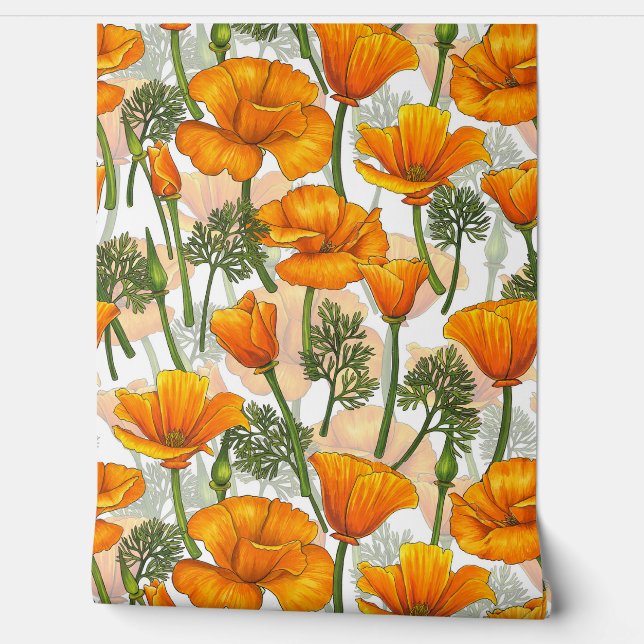 California poppies wallpaper  (Unrolling)