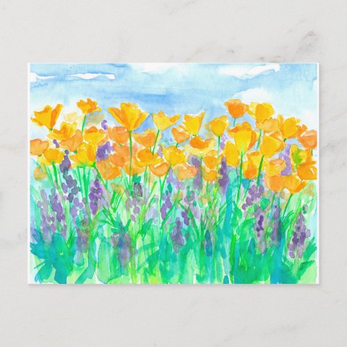 California Poppies Watercolor Painting Postcard