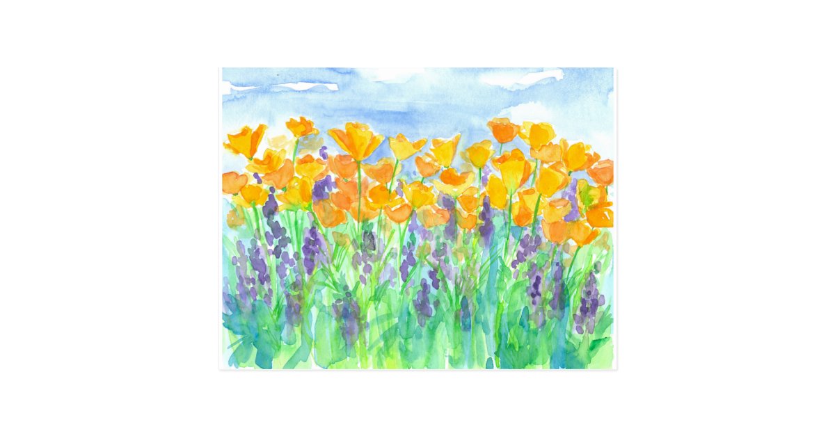 California Poppies Watercolor Painting Postcard Zazzle Com