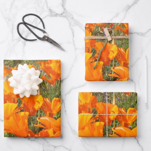 California Poppies Wrapping Paper Sheets