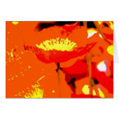 California Poppy (Front Horizontal)