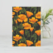 California poppy (Standing Front)