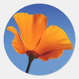 California Poppy Against Blue Sky Classic Round Sticker