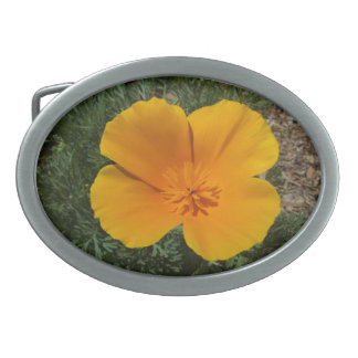 California poppy belt buckle
