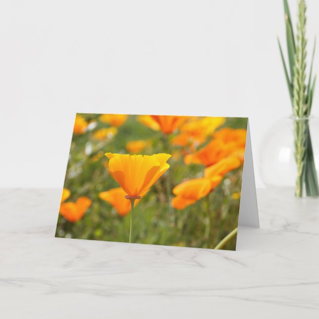 California Poppy Blank Greeting Card (Front)