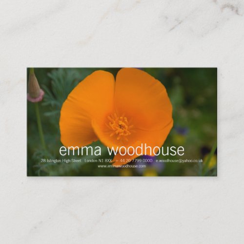 California Poppy Business Card Templates