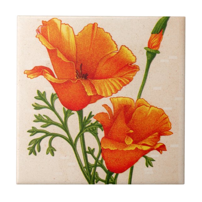 California poppy California poppies in orange Ceramic Tile (Front)