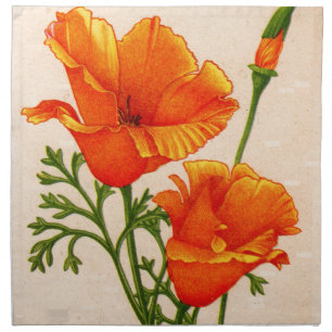 California poppy California poppies in orange Napkin
