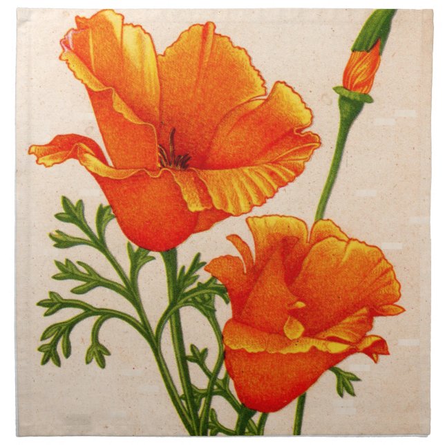 California poppy California poppies in orange Napkin (Front)