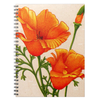 California poppy California poppies in orange Notebook