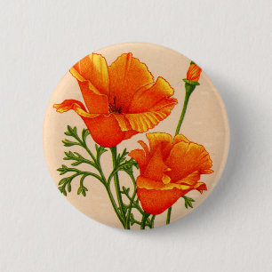 California poppy California poppies in orange Pinback Button