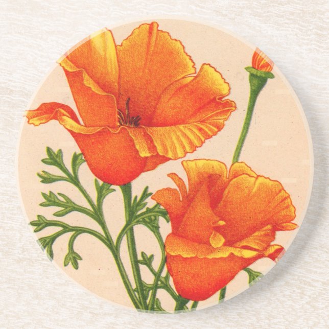 California poppy California poppies in orange Sandstone Coaster (Front)