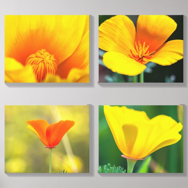 California Poppy Canvas Photo Tile (Front Set)