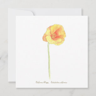 California Poppy   Card