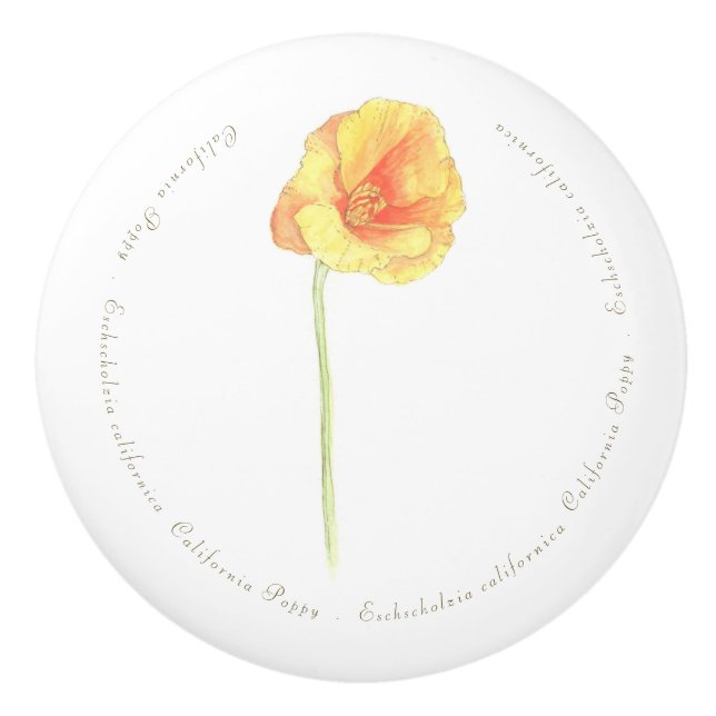 California Poppy  Ceramic Knob (Front)