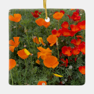 California Poppy Ceramic Ornament