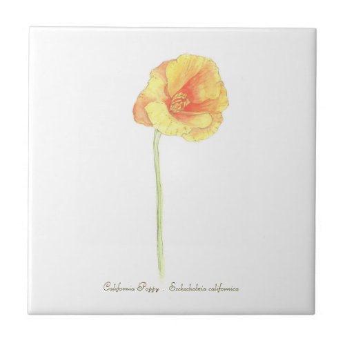 California Poppy  Ceramic Tile