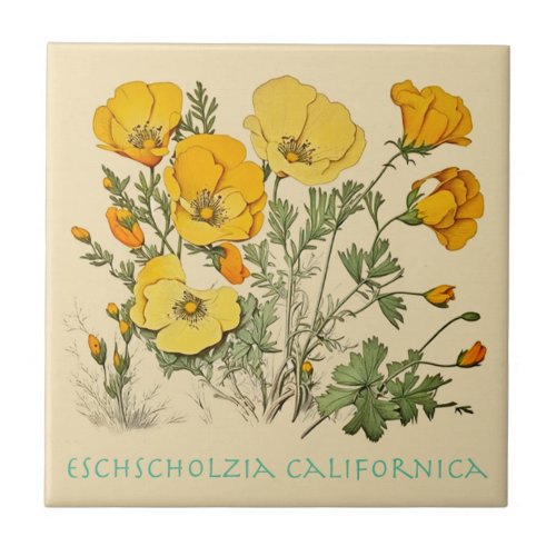 California Poppy Ceramic Tile