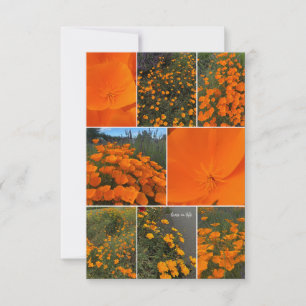 California Poppy Collage Note Card