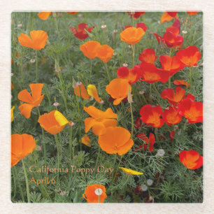 California Poppy Day Glass Coaster