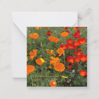 California Poppy Day Note Card