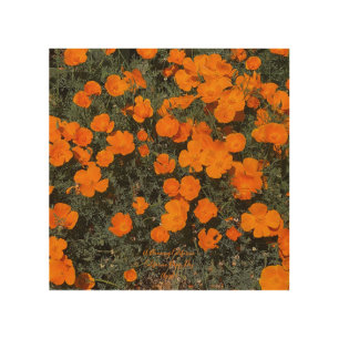 California Poppy Day Wood Wall Art